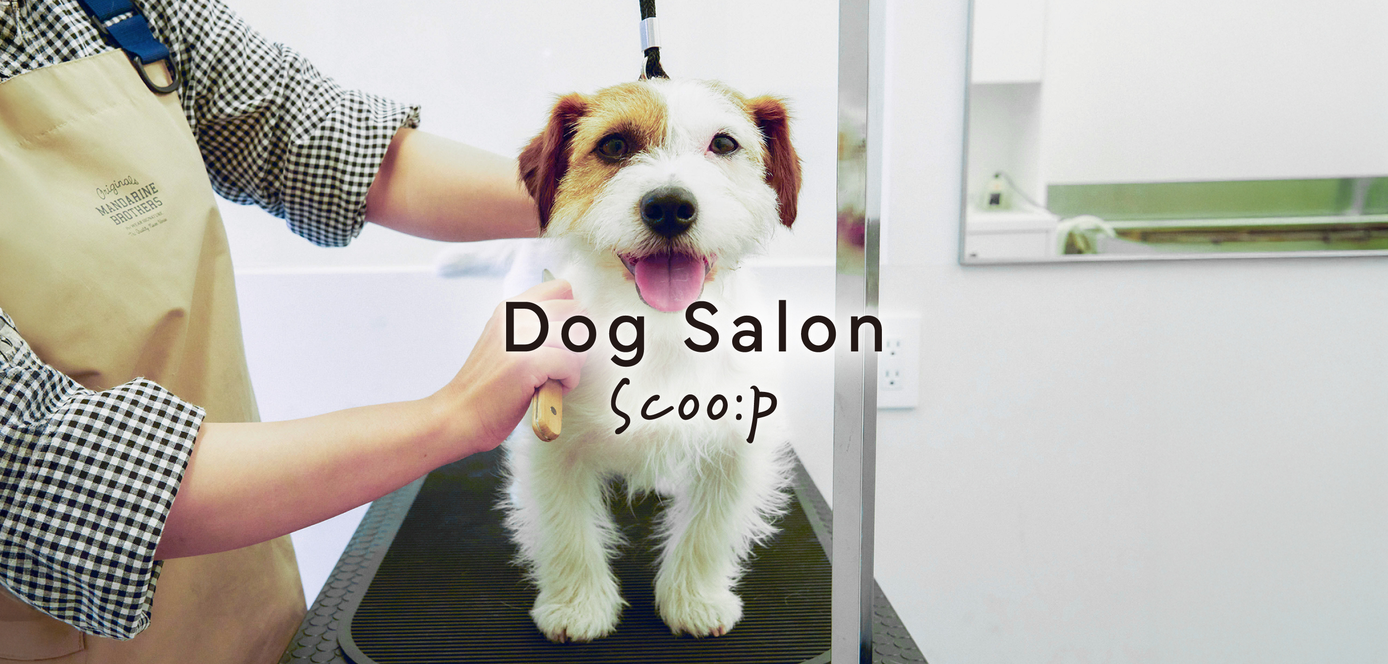 Dog Salon Scoo:p