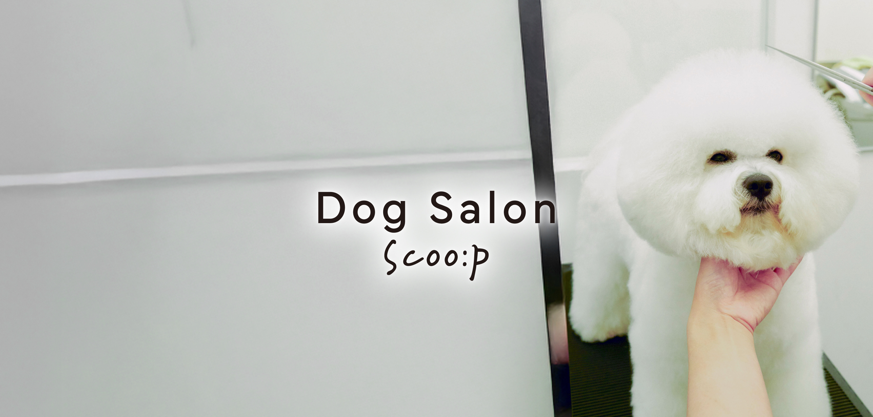 Dog Salon Scoo:p