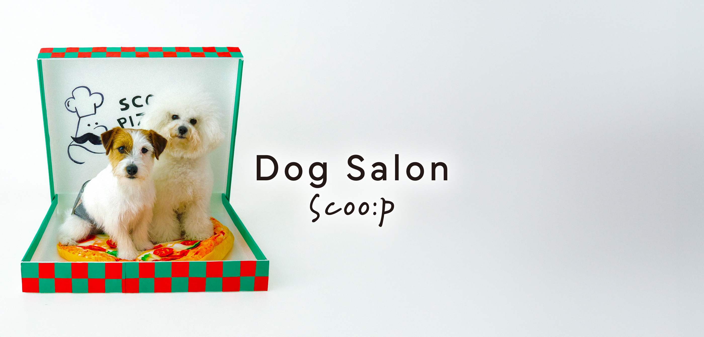 Dog Salon Scoo:p